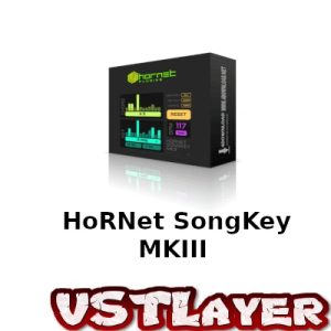 HoRNet – SongKey MKIII v3 VST Crack (1)